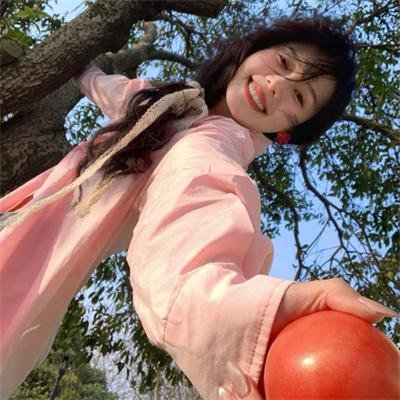 大侠梅花鹿