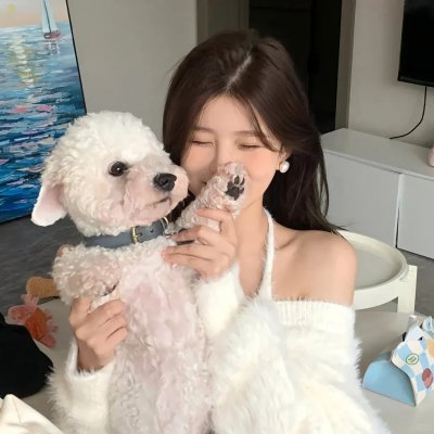 秩序的守护者